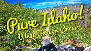 West Beaver Creek Trail Baumgartner Idaho