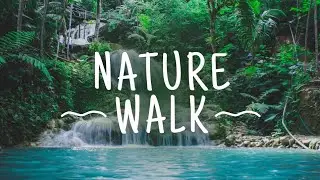 Relaxing music & Calming Sound for Meditation - Stress Relieve