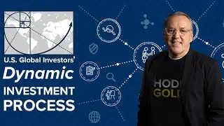 Our Investment Process