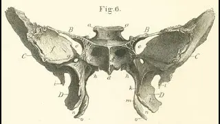 Symbols of Power pt1: Skull & Bones, Monarch Symbolism, Etymology Lifting The Veil Cullen Smith