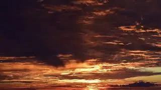 Free type beat - banjo game
