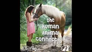 The Human-Animal Connection 72 The Smartest Horse: Beautiful Jim Key