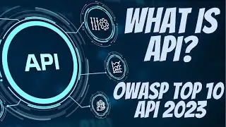 owasp top 10 2023 | owasp top 10 api vulnerabilities | owasp top 10 api security | Cyber World Hindi
