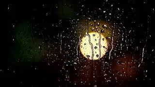 The Magic of Nature 4K