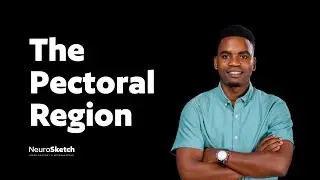 The pectoral region part 01: the muscles of the pectoral region
