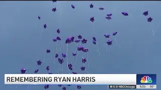 Family remembers Ryan Harris, 11-year-old Chicago girl killed in 1998