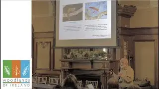 Restoration of Scotland's Caledonian Forest & its relevance for Ireland | Alan Watson-Featherstone