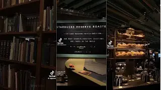 Dark Academia and Aesthetic Scenery w/ Rain and Nature / Tiktok compilation
