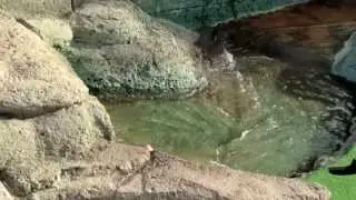 Coolest mini-golf hole