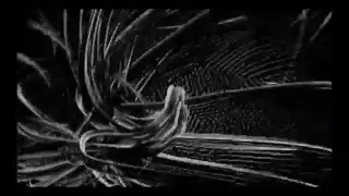 Empusae - Graft (Without Anaesthesia Mix/Oil10 Remix)