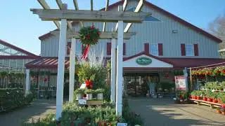 Holiday Decor is Here at Van Wilgen's!