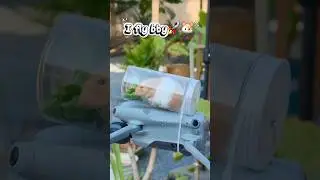 #hamsters #flufy #fly #sky #help #pets #happy #shortsviral #funny #funnyshorts
