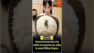 WORLD'S MOST EXPENSIVE RICE?! Kinmemai Premium Rice - $109 per kg #facts #shorts #interestingfacts