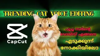 Poocha sir ന്റെ വീഡിയോ എങ്ങനെ എഡിറ്റ്&zwnj; ചെയാം / TRENDING CAT VOICE EDITING 