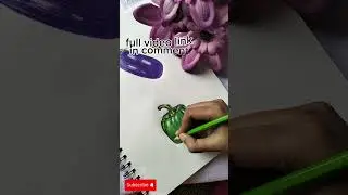 Realistic Green Capsicum Drawing 🌿✏️ #Shorts