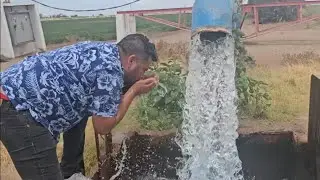 Pozos de agua, higos y guamuchiles en el valle de mexicali bc