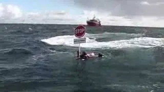 Greenpeace swimmer tells cod fishing trawler to stop