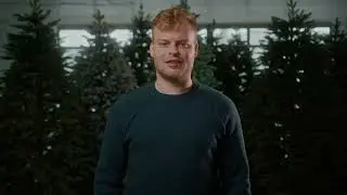 🎄 PVC vs 3D vs Full 3D umelý stromček: Sprievodca porovnaním!