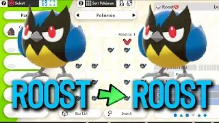 HOW TO Transfer EGG MOVES in between Parent Pok&eacute;mon - Advanced Breeding Guide for Sword and Shield