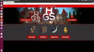 [HetGames] Website Griefing
