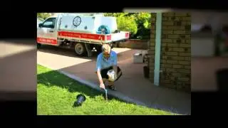 Cleveland Qld building inspection Brisbane