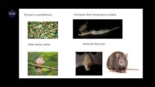 SJCTNC - DR. P. THENMOZHI- 20ZO616-EVOLUTION - UNIT  IV - ANIMAL DISTRIBUTION