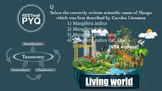 NEETwaliPYQ II NEET II Select the correctly written scientific name of Mango which was first describ