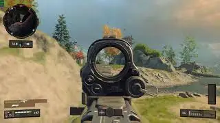 Flawless Gun Game BO4 (PC)