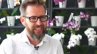 Hills Plants and SAP Business One - A Customer Success Story
