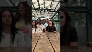 приношу случайные предметы на работу, день 3 😆