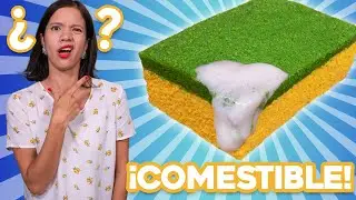 ESPONJA DE PLATOS 100% COMESTIBLE (PASTEL HIPERREALISTA / TRAMPANTOJO)  - La Cooquette