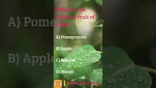 GK Quiz 2 