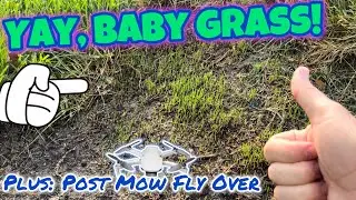 Spring Spot Seeding Update // Post Mow Review!