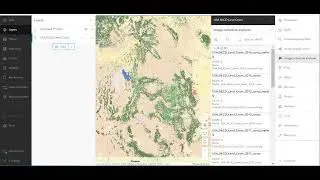 Using the ArcGIS Image Collection Explorer to locate input raster sets and imagery