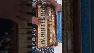 paris reeds harmonium 9607691566 #dsr #lovesongs #automobile #romanticsongs #classicalmusic