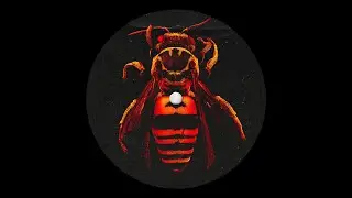 DIKKA - Tectum