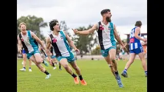 EDFL 2025 Men's Division One Grand Final Highlights - Oak Park v Hillside