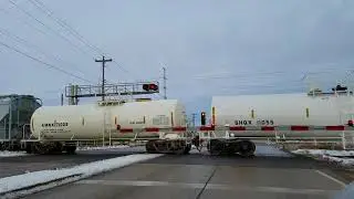 CN Train Ashwaubenon (Hazels Reptile FAM 2K subscribers special)