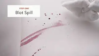 Sunbrella Clean Multi-Purpose Fabric Cleaner