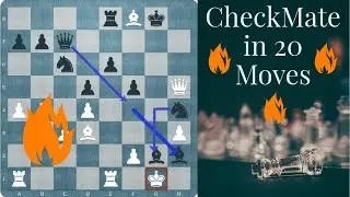 CheckMate in just 20 Moves 🔥🔥🔥🔥| GM David Howell | Chess | chess.com | Chessbase India | Chesstalk |