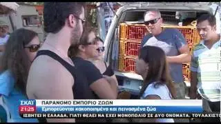 Φιλόζωοι στο Σχιστό κατά της παράνομης εμπορίας ζώων
