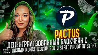 Pactus &mdash; децентрализованный блокчейн с безопасным консенсусом Solid State Proof of Stake !