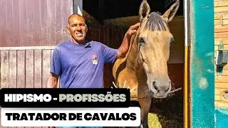 HIPISMO - PROFISSÕES (TRATADOR DE CAVALOS)