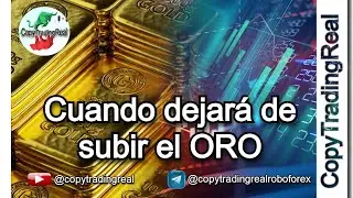 Por qu&eacute; el oro est&aacute; en M&aacute;ximos hist&oacute;ricos, causas y consecuencias  (Copytrading Roboforex)