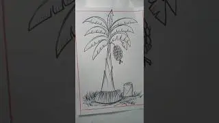 Drawing Banana Tree 🌴🥰|| #bananatree#artbananatree#ytshorts #sketchesbydinesh #tree#trendingshorts