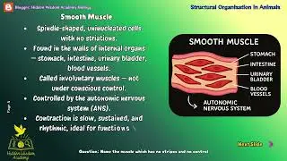 Structural Organisation in Animals - Muscular & Nervous Tissues|NEET 2026 & Class 11 Biology| Ep 103