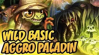 Hearthstone Wild Basics: Aggro Paladin