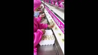 LIVE: 中国街头美食直播 | 煎饼和炒菜 🔥 Live Chinese Street Food 2026-01-14 11:41:17