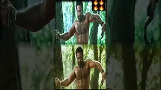 rrr movie fight scene ntr tiger fight