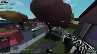 PF VIDEO DUMP 16 - Roblox 2025 05 25 10 15 51